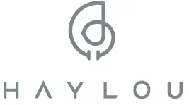 HAYLOU-MoriPods-ANC-True-Wireless-EarBuds-LOGO