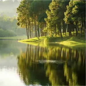 AIRMAX LakeSeries Aeration Systems 1