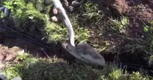 System Installation Step 5