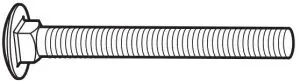 Carriage Bolt