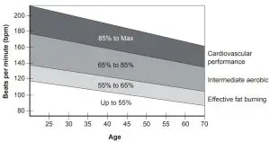 Exercise Information
