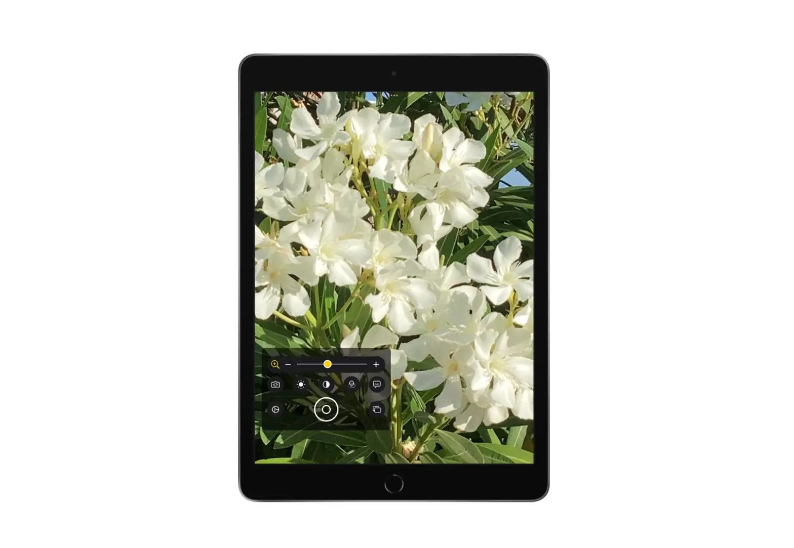 Magnify Nearby Objects With Magnifier On Ipad