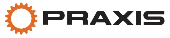 PRAXIS - logo