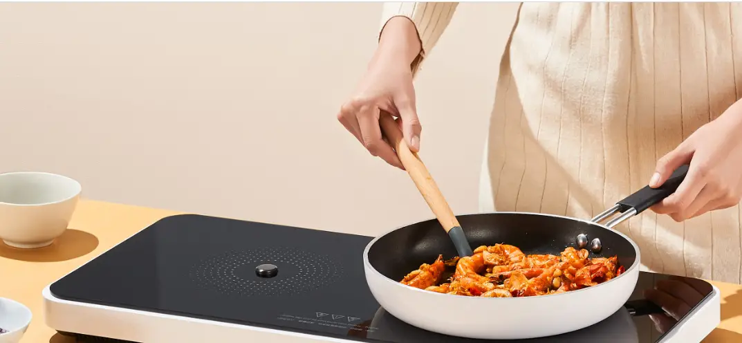 Rasonic Ric-s28dn 2800w Single Burner Induction Cooker Instruction Manual