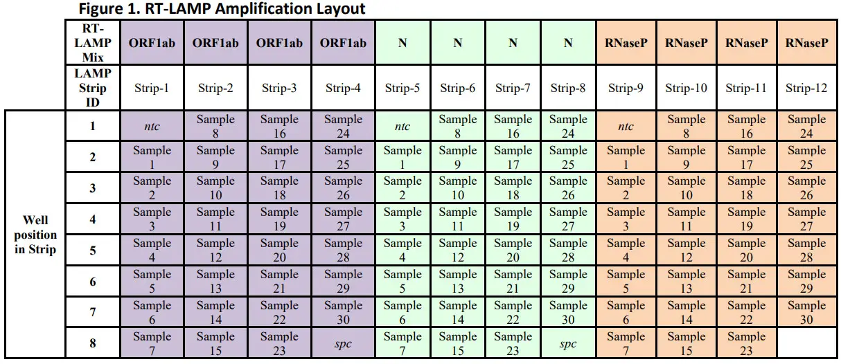 SHERLOCK CRISPR SARS-CoV-2 kit -