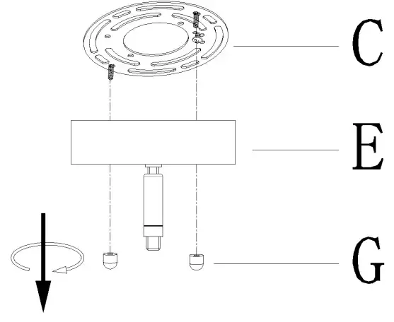ZEVNI A04632 Kerr 6 Light Gold Modern Contemporary Chandelier - fig 2