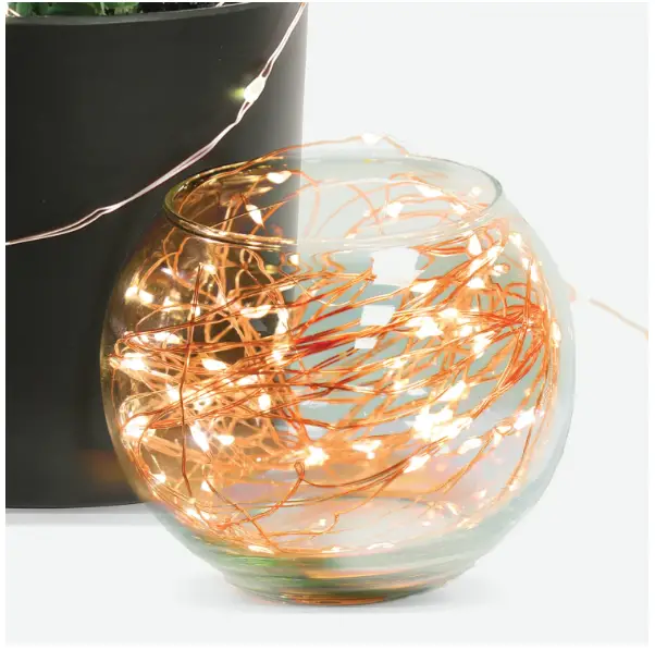 Electric FY30-100 30 ft. Warm White Copper Wire Fairy String Lights