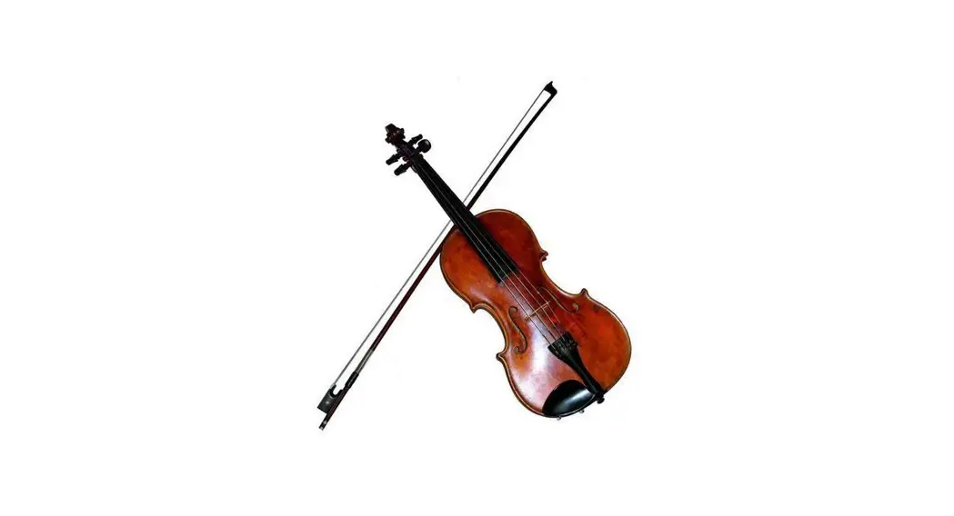 Pyleusa Plywood Violin Stringed Instrument Pgviln20 Instruction Manual
