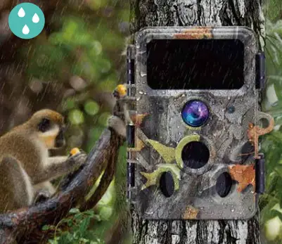 RED LEAF RD3019 Pro 4K WiFi Trail Camera - Waterproof IP66