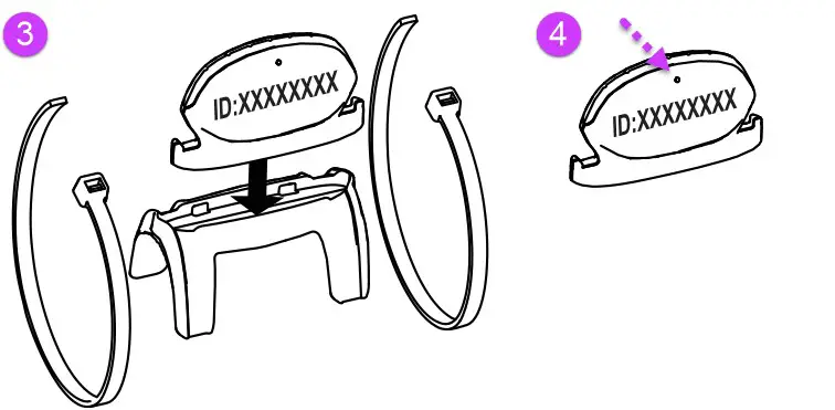 POLAR 91047327 Cadence Smart Bluetooth Sensor- 2