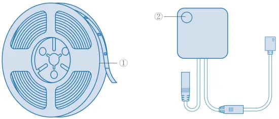 LED and Button Rules