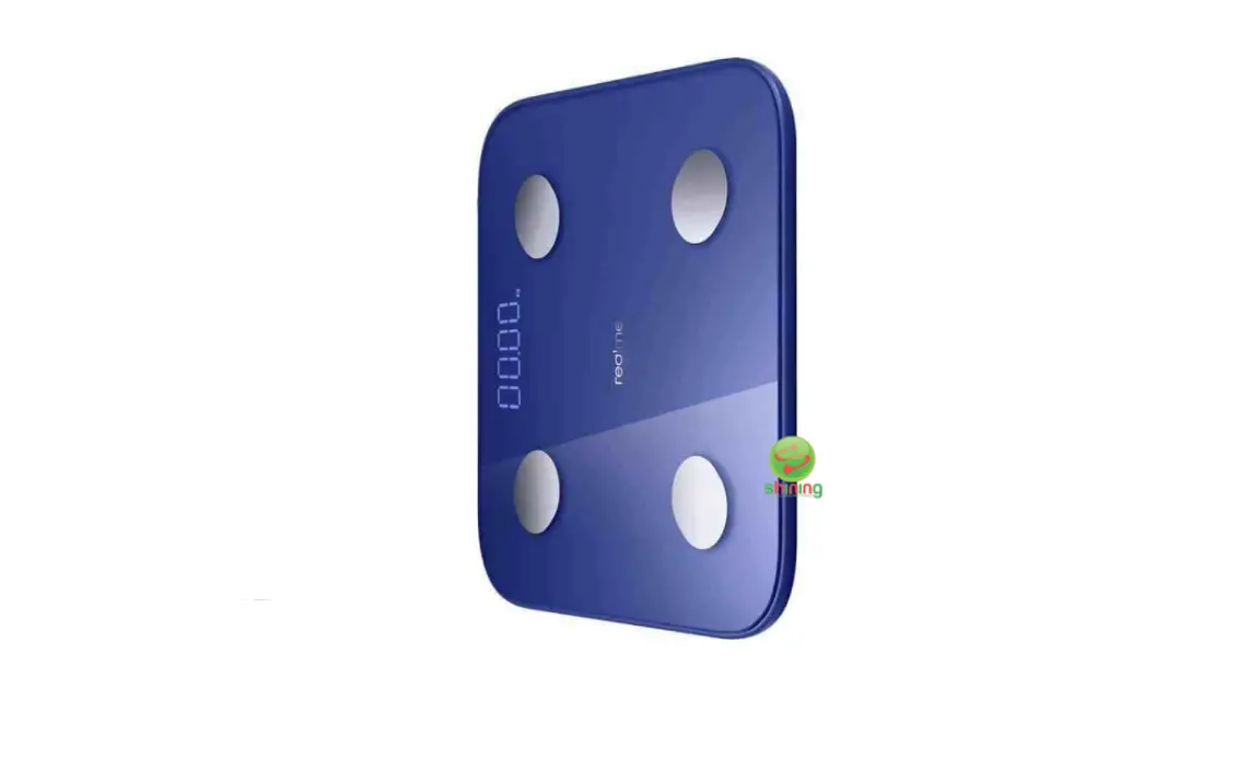 Realme Rmh2011 Smart Scale User Manual
