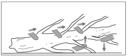 RYOBI RY18CS20A 8V ONE+ Cordless 20cm Compact Chainsaw-3