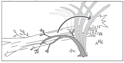 RYOBI RY18CS20A 8V ONE+ Cordless 20cm Compact Chainsaw-4