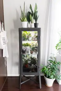 IKEA Fabrikor Terrarium