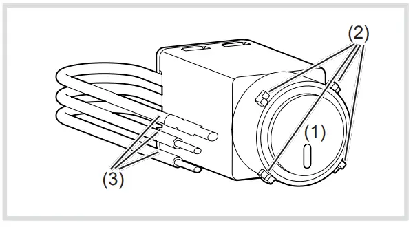Design and layout of the device