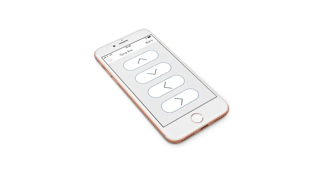 Braunability Remote User Guide