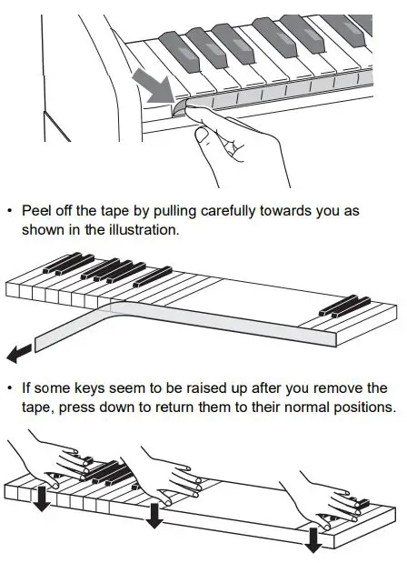 CASIO Privia PX-765 Digital Piano User Guide - Removing the Protective Tape from the Keyboard