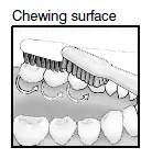 chewing surface logo