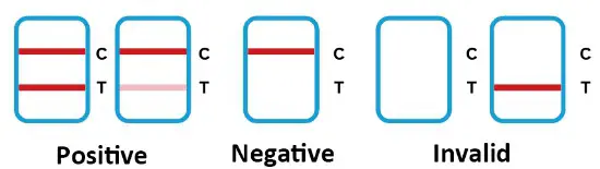 JOYSBIO SARS CoV 2 Antigen rapid test kit- Result determination