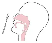 JOYSBIO SARS CoV 2 Antigen rapid test kit- step 3