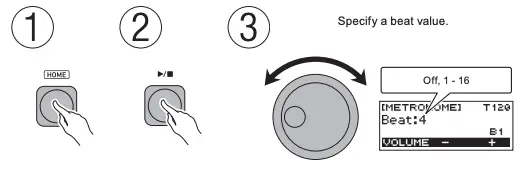 Sounding the Metronome