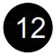 icon 12
