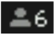Display Icon