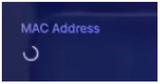 MAC address