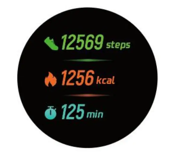 DENVER Smart Watch Instruction Manual-Health Data