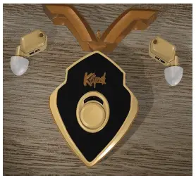 Klipsch T10 True Wireless Earbuds fig 2