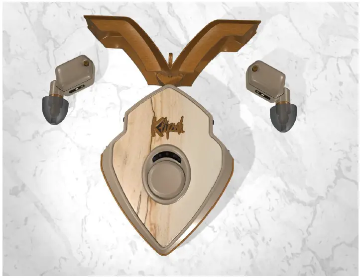 Klipsch T10 True Wireless Earbuds product