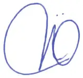 beeloom Puzzle Tetris Wild Wooden Puzzle Multicolor - Signature