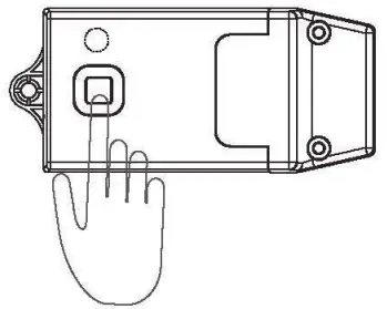 Ordinary Paring Method