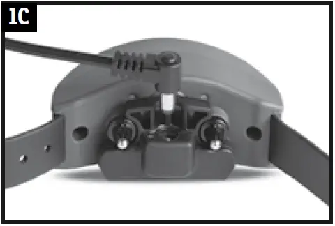 sportDOG-X-Series-Brand-Stubborn-Dog-Trainer-fig- (3)