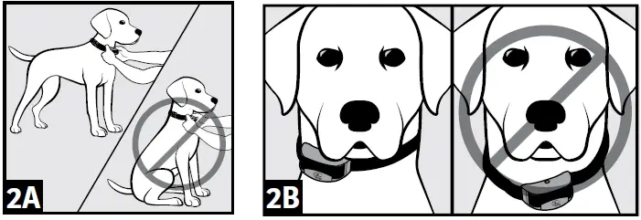 sportDOG-X-Series-Brand-Stubborn-Dog-Trainer-fig- (5)