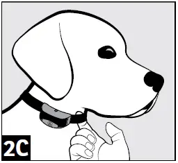 sportDOG-X-Series-Brand-Stubborn-Dog-Trainer-fig- (6)