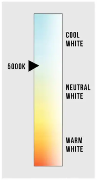 NOTHING BUT LEDS BLT-SQ528LC1 LED Tape Light - 3
