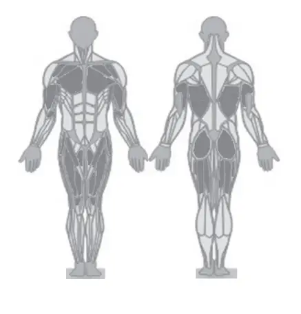 POSTURE AND HOW TO WORK OUT CORRECTLY