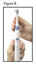 Homedics HD-210 PowerDent Deluxe - Figure B