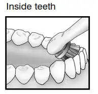 Homedics HD-210 PowerDent Deluxe - Inside teeth