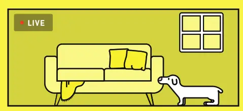 Roo IOCAM1 Indoor Outdoor Camera - life pic