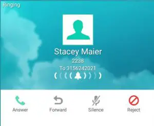 NORTHLAND COMMUNICATIONS T58A SIP Phone with Cam50 USB Camera - figure 11