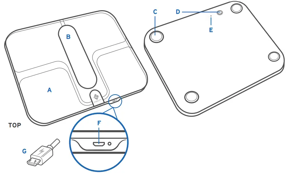ETEKCITY ESF00+ Series Smart Fitness Scale fig2