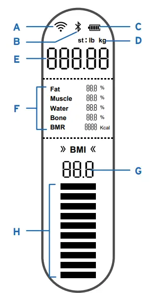 ETEKCITY ESF00+ Series Smart Fitness Scale fig3