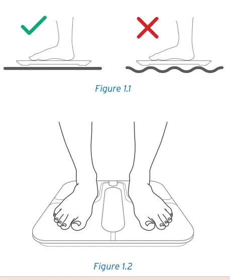 ETEKCITY ESF00+ Series Smart Fitness Scale fig5