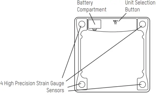 TAYLOR 5297054 Scale Smart with Body Fat - Backview