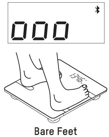 TAYLOR 5297054 Scale Smart with Body Fat - Feet B