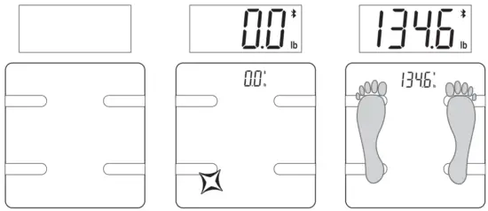 TAYLOR 5297054 Scale Smart with Body Fat - Operation