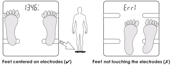 TAYLOR 5297054 Scale Smart with Body Fat - diagram